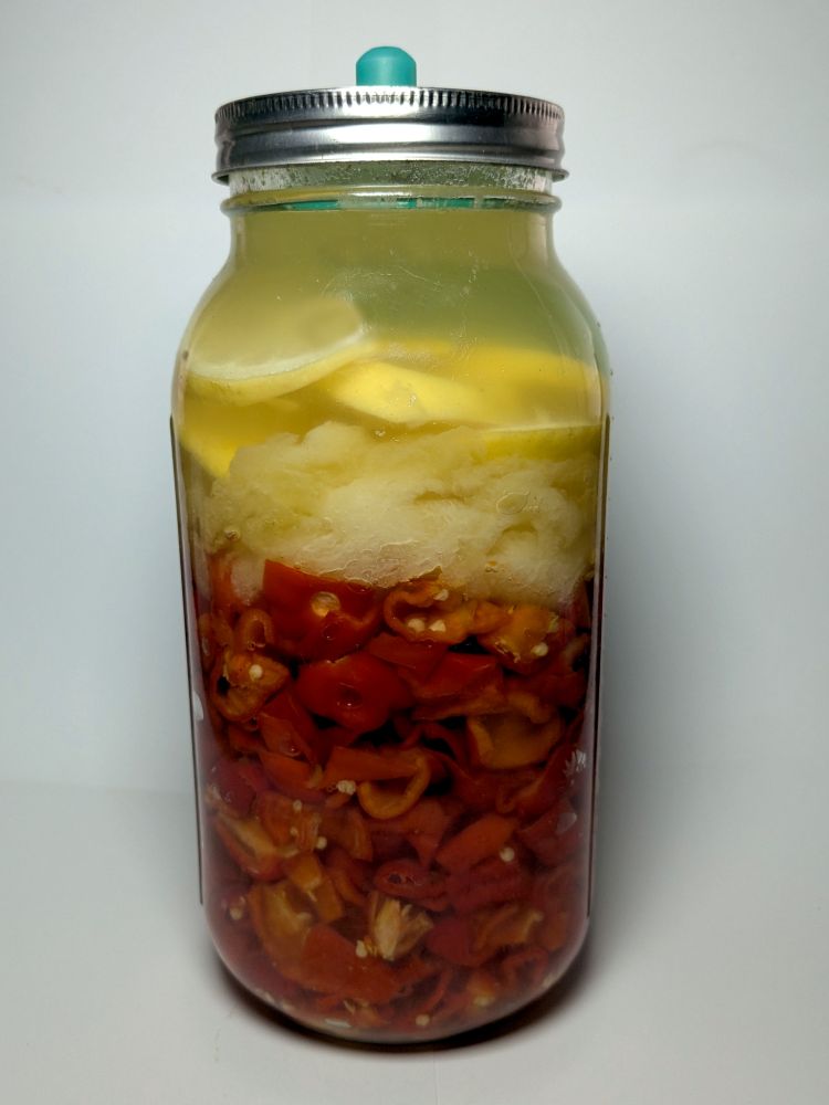 2L mason jar with a green pickle pipe. Contents are red hot peppers, galia melon and lemon. Some bubbles forming. 1 week into fermentation.