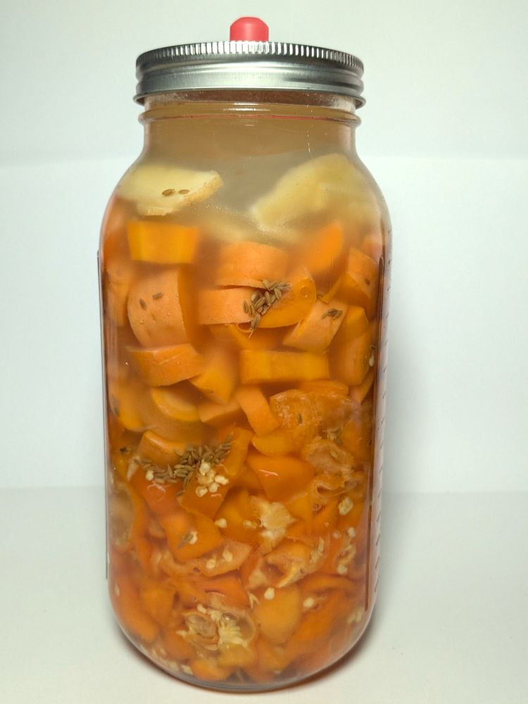 2L mason jar with a red pickle pipe. The contents are orange hot peppers, carrot, ginger and cumin seed in a 3.5% brine. The brine is cloudy. Just under 1 week into its fermentation.