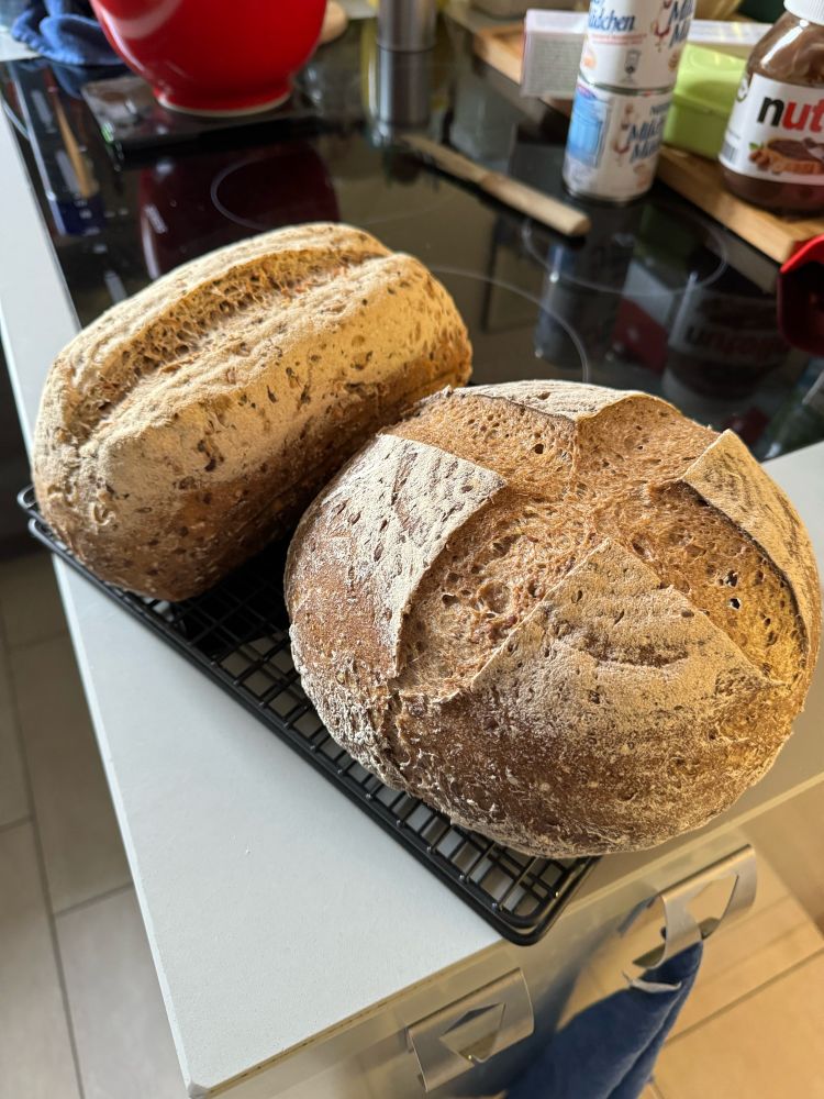 Und hier nach dem Backen... zwei schön aufgegangene Brote