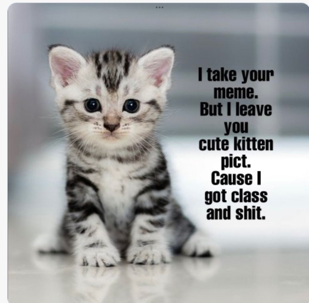 Comment image