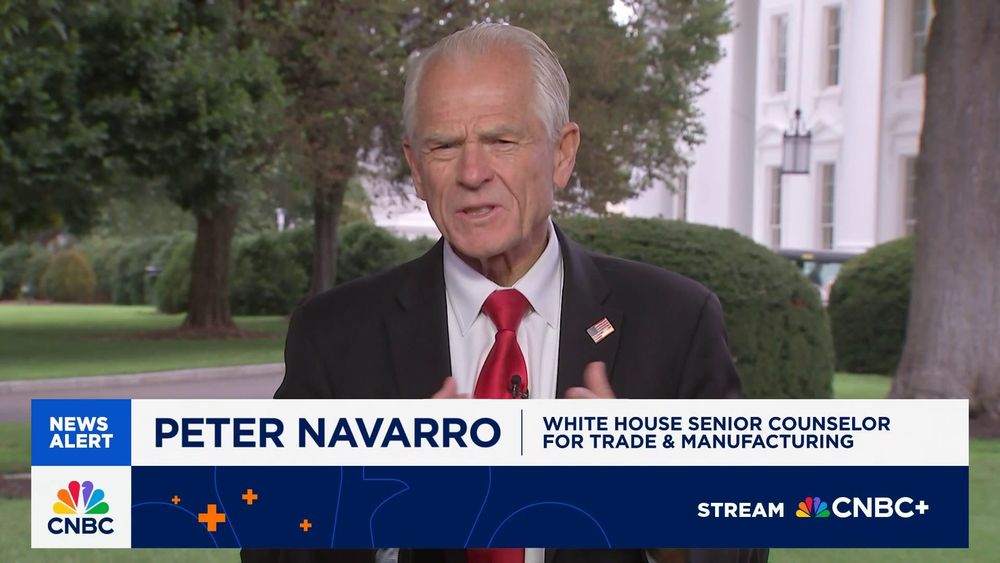 Peter Navarro, White House senior counselor for trade and manufacturing, joins 'Money Movers' to discuss the president signing an executive order aimed at boosting U.S. pharma supply chain.