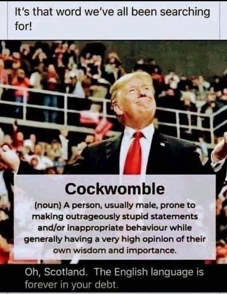 Image of Donald Trump.
Text Cockwomble: noun.
A person, usually male, prone to making outrageously stupid statements and or inappropriate behavior while generally having a very high opinion of their own wisdom and importance.
Scotland. The English language thanks you