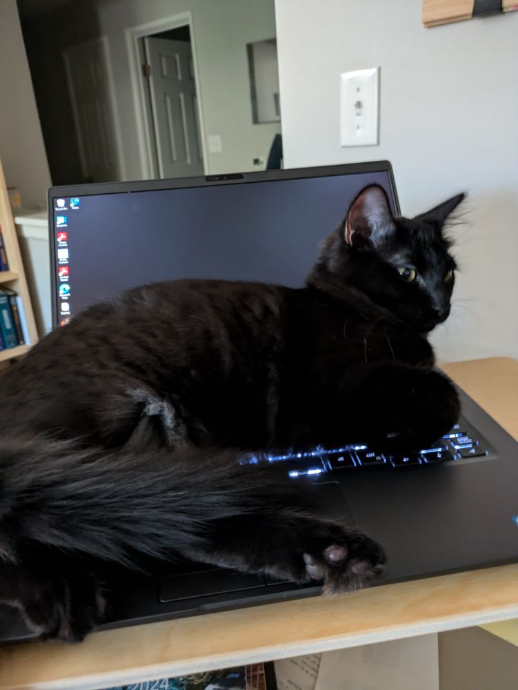 Black cat laying on an laptop after he closed all of the programs stepping on the key board.