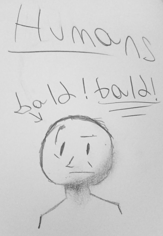 A guy with an arrow pointing at him with text that says: "bald! bald!"