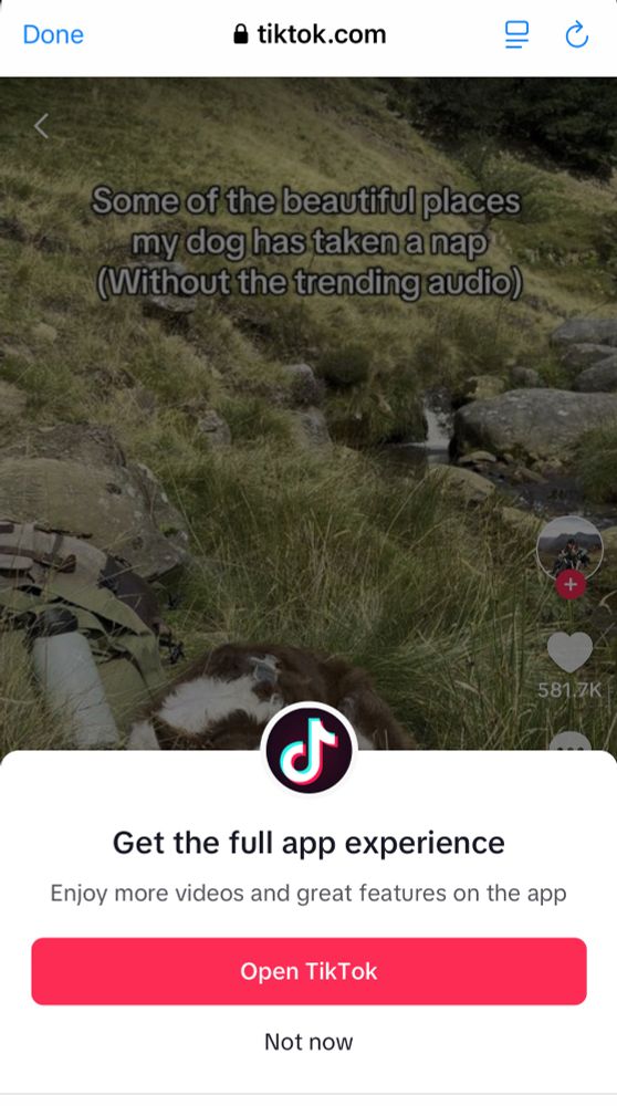 Comment image