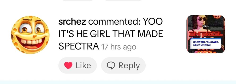 A comment on my vid on Tiktok that says "YOO IT'S HE GIRL THAT MADE SPECTRA"