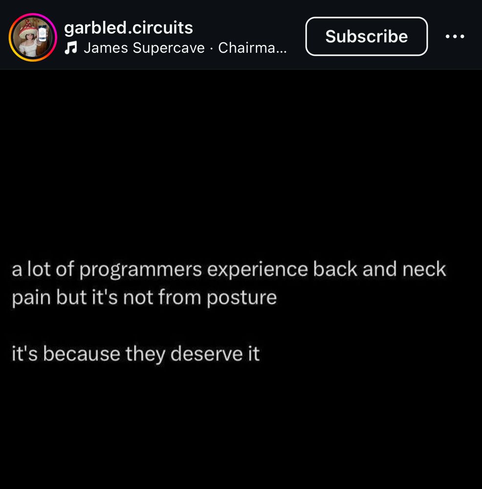 a post on instagram from garbled.circuits that says:

a lot of programmers experience back and neck pain but it's not from posture
it's because they deserve it
