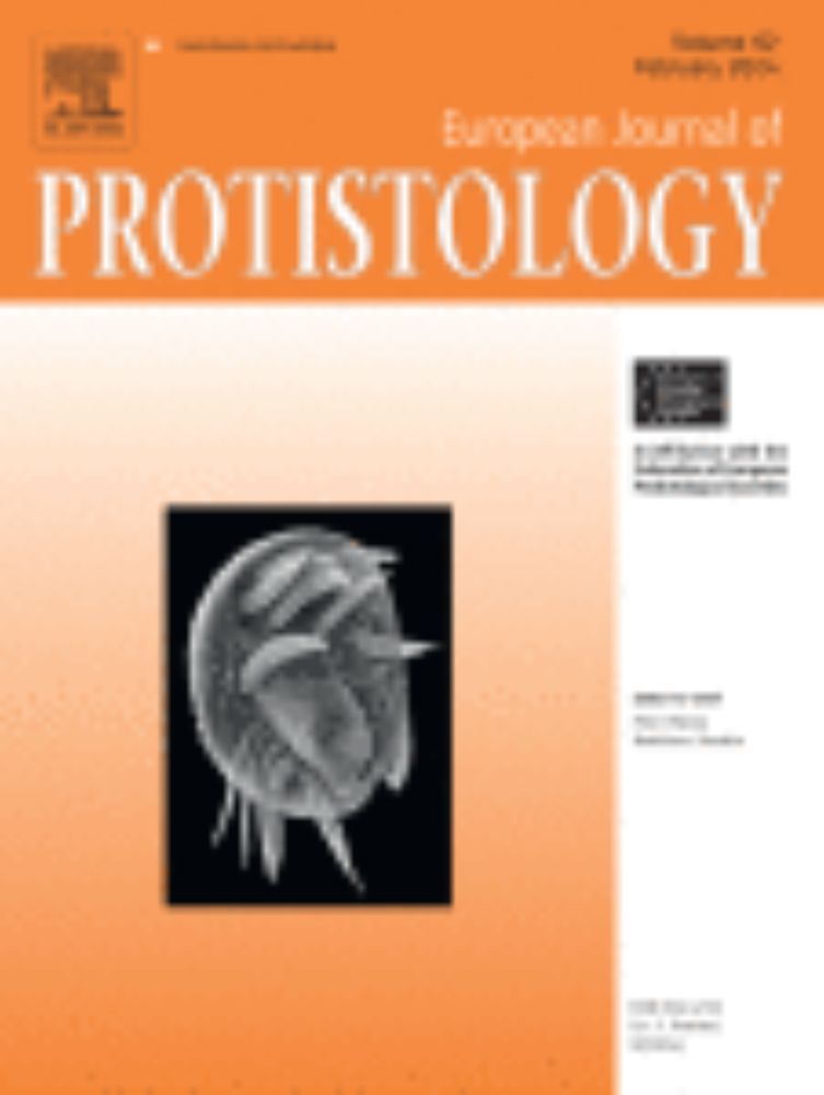 Parallel functional reduction in the mitochondria of apicomplexan parasites