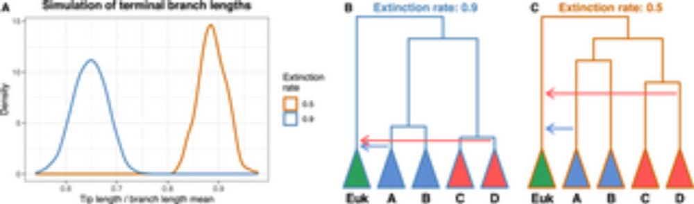 On the impact of incomplete taxon sampling on the relative timing of gene transfer events