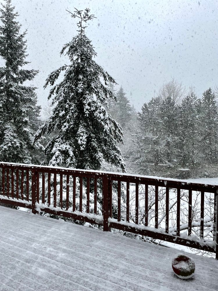 View of a wooden deck with snow on the floor and rails surrounded by a field of snow and evergreen trees with their branches covered with snow and the air full of huge falling snowflakes

