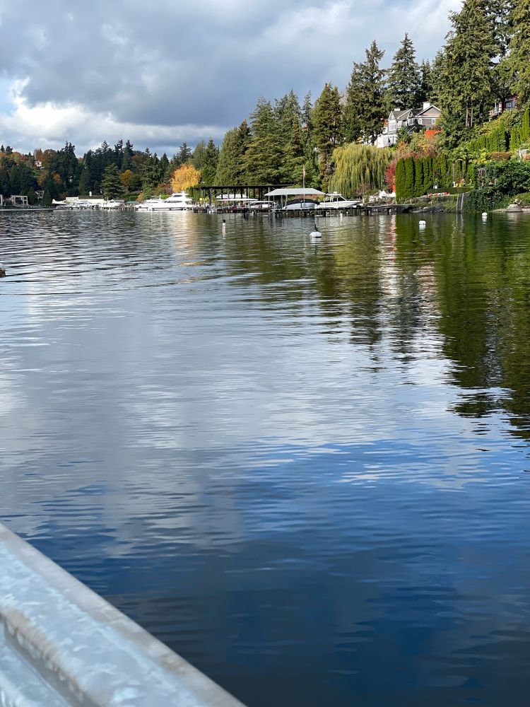 Shimmering lake water reflecting the sky, surrounding neighborhood and trees.  A peaceful scene for Thanksgiving 