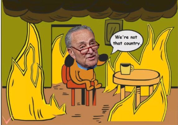 The "this is fine" meme of a dog sitting in a burning room but instead the speach bubble says "we're not that country" and on the dog is Chuck Schumer's face