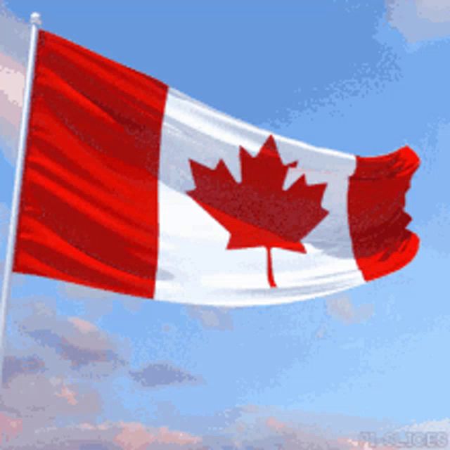a red white and blue canadian flag with a maple leaf