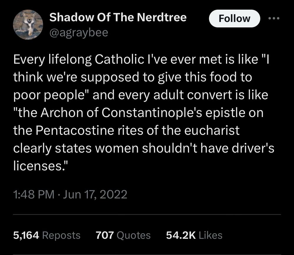 Twitter screenshot: Every lifelong Catholic I've ever met is like "I think we're supposed to give this food to poor people" and every adult convert is like "the Archon of Constantinople's epistle on the Pentacostine rites of the eucharist clearly states women shouldn't have driver's licenses."
