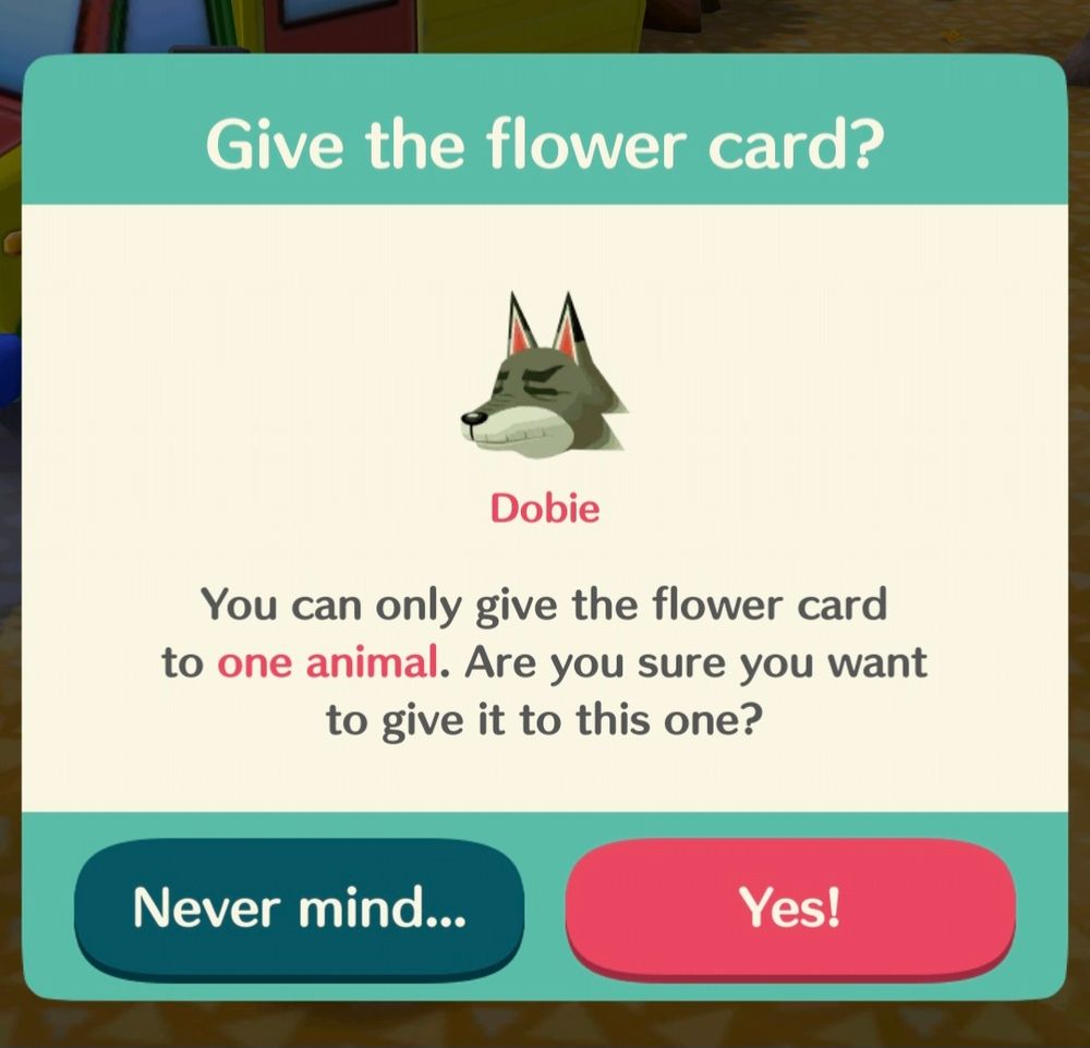 another screenshot from animal crossing pocket camp. they gave the player a flower card to gift to their favorite character. the page is asking the player, "Give the flower card?" Under this is which character you choose to give the flower card to. this one shows dobie! an elderly appearing grey wolf. underneath that is a warning that you only get one flower card and to choose your favorite animal carefully! underneath that it has two buttons. "nevermind..." and "yes!"