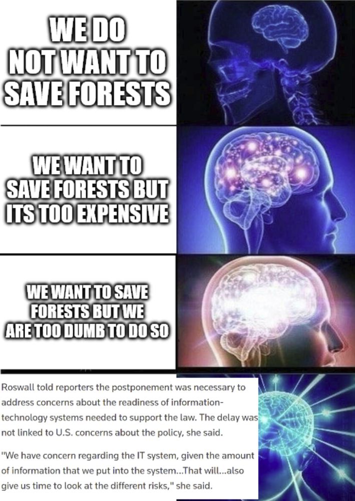 A meme with the captions:

Inactive Brain: We do not want to save forests
Active Brain: We want to save forests but its too expensive
Very active brain: We want to save forests but we are too dumb to do so
Extremely active brain: We cannot save problems cause of IT problems with our software