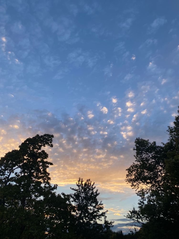 holy shit
more trees hugging the sky
blue with clouds with a slight golden tone