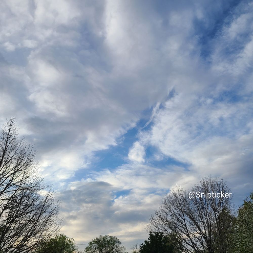 A photo of the sky: a blue sky covered in white clouds both puffy and thin ones layered. The morning sun is still subtle.  In the lower frame are trees some bare branches and some showing leaves and white blossoms. 