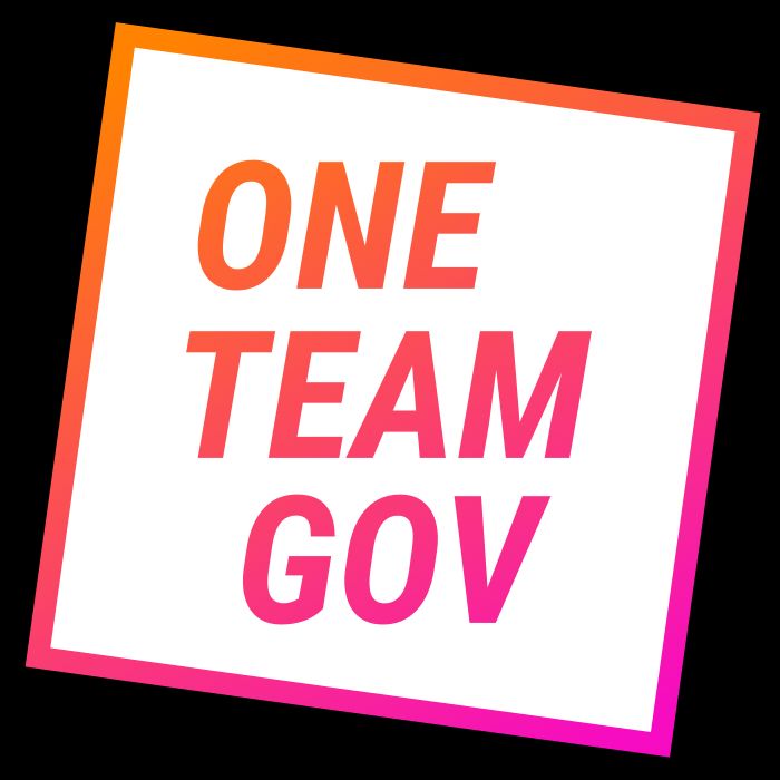 The One Team Gov Logo, which is a square rotated slightly clockwise, in the middle of which reads, "One Team Gov".