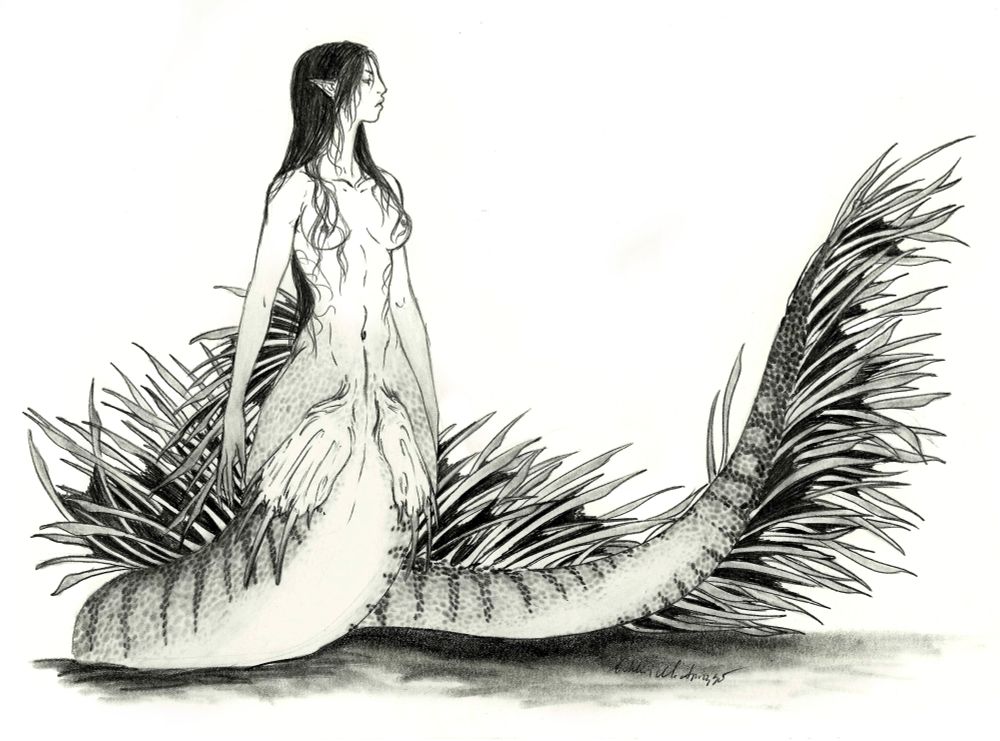 Siren with lionfish like quilling lining her spine all the way to the tip of her tail. Striped scale patterning on tail.