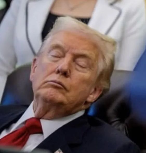 sleepy time trump