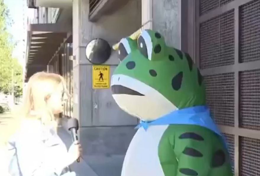 Anti-fascist frog in Portland 