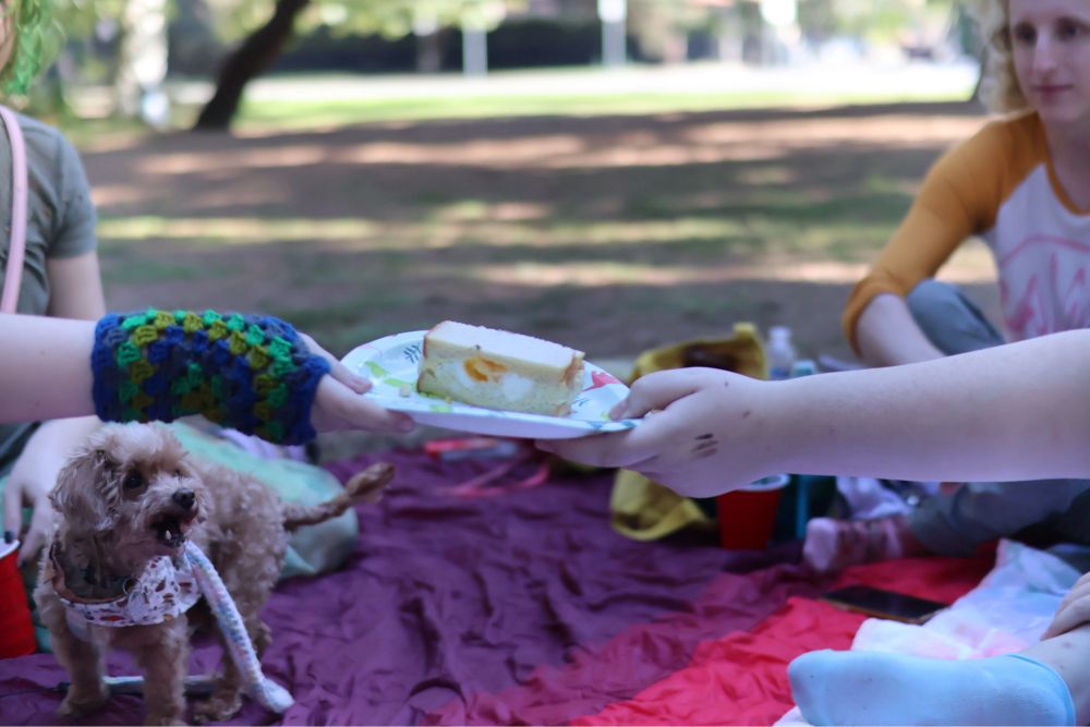 A person handing another person an egg salad sandwich
