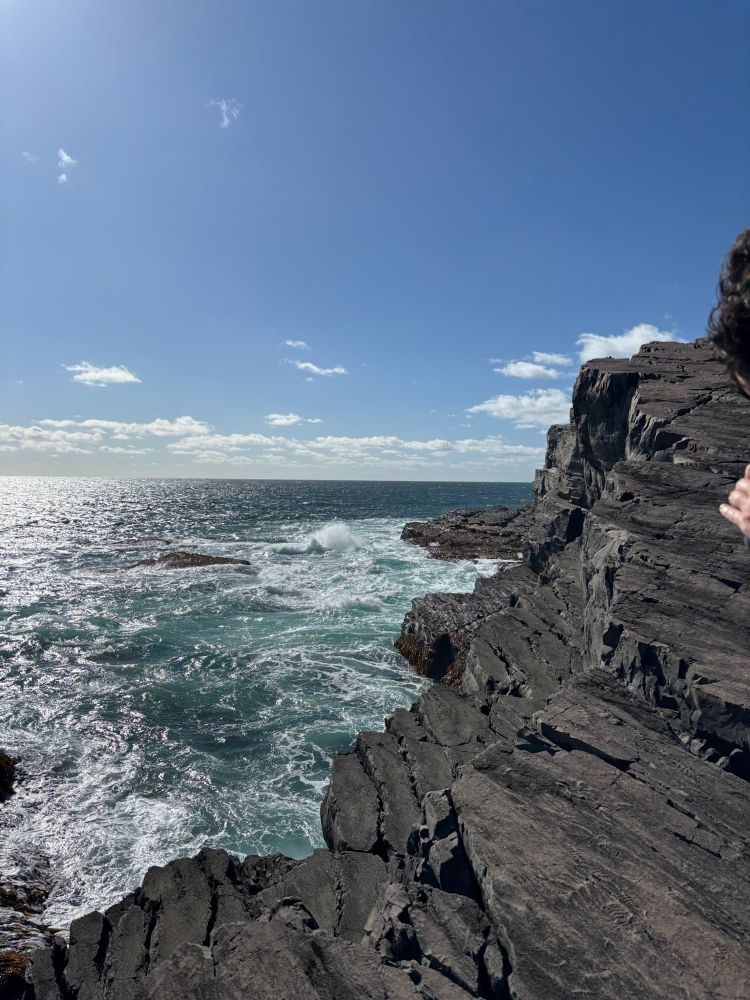 A shelf of rock at Mistaken Point. Beyond it lies open water, the entire Atlantic Ocean.