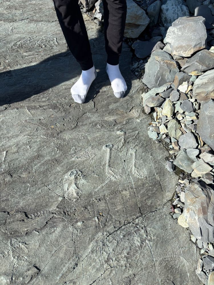 More ediacaran fossils and some feet in socks.