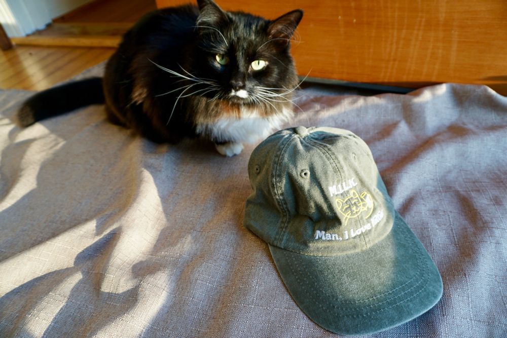 Tuxedo cat sitting next to a hat that reads: M.I.L.K. Man, I love kitties 