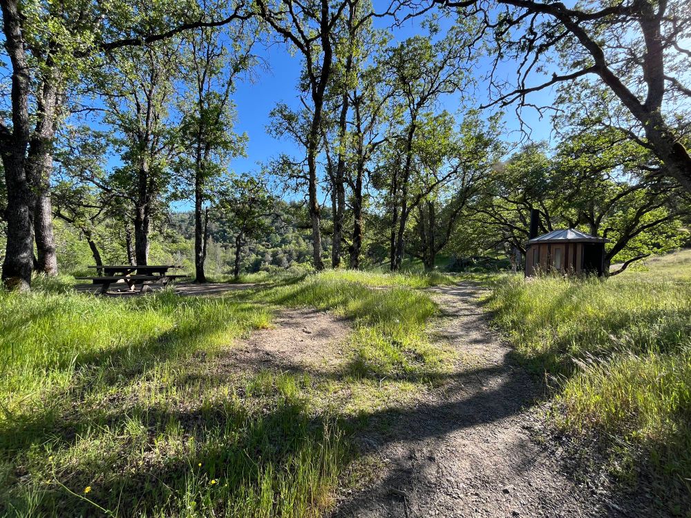 Frog lake campsite in spring, Henry Coe State Park, best accessed via the main entrance east of Morgan Hill. A footpath arcs across a mostly flat grassy knoll-top, in an airy forest of widely-spaced blue oaks. Privy-structure at the right, picnic table at left. The trail continues out of sight over the horizon of the knoll to reach the pond which is populated by bluegill ranging up to about 7 inches in size and various amphibians. Possibly the occasional turtle.