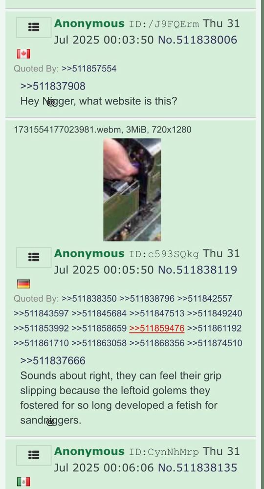 A screenshot of the same thread from /pol/ that TLo posted with all the slurs blocked out.