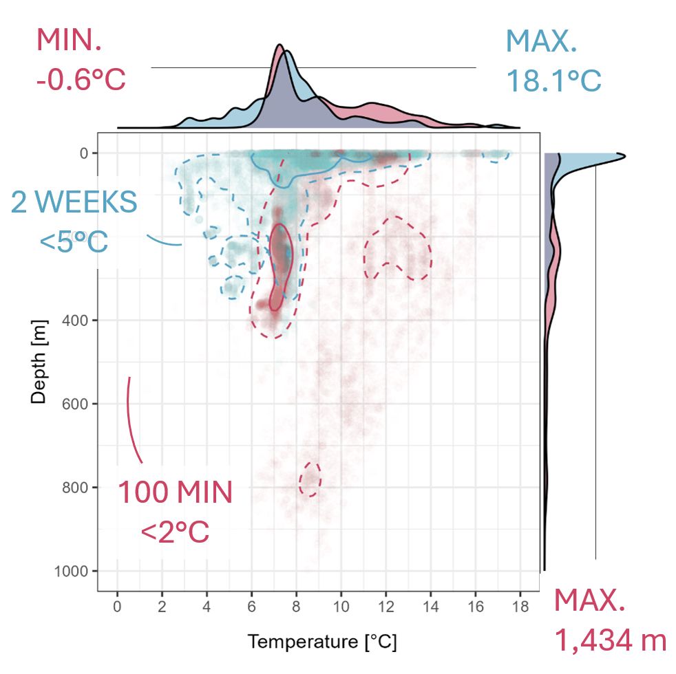 Depth-Temperature envelope for two basking sharks tracked for 365 days