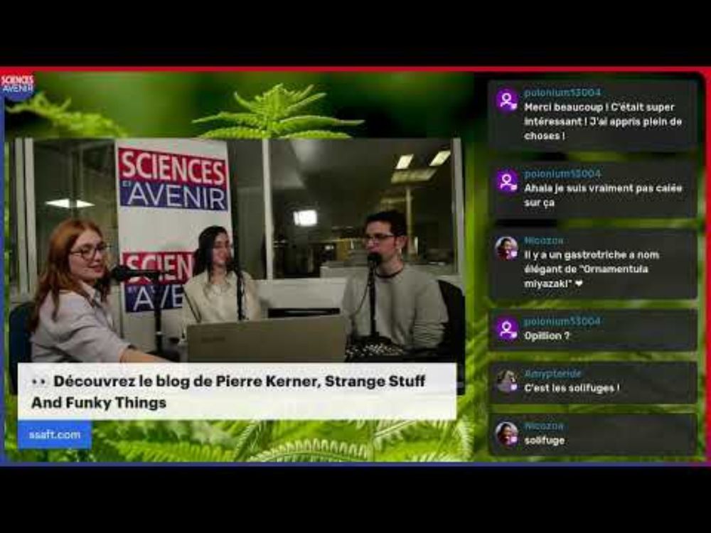 🌱🐞 Qu'est-ce qu'une espèce ? Avec Diane Dabir-Moghaddam et Pierre Kerner