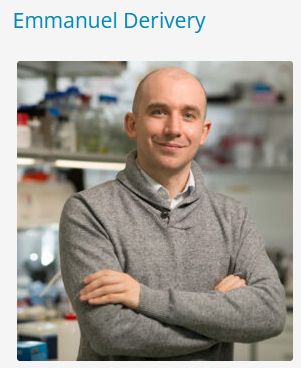 A picture of Emmanuel Derivery wearing a grey jumper standing with his arms folded in front of a blurred wet-lab background.