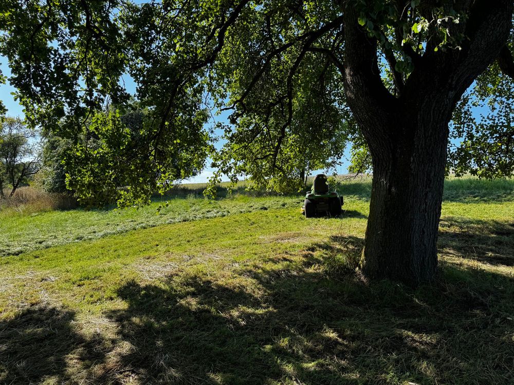The Helden tree under which I have mown