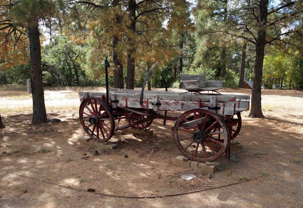 An old buckboard wagon sits on blocks under the shade of pine trees.