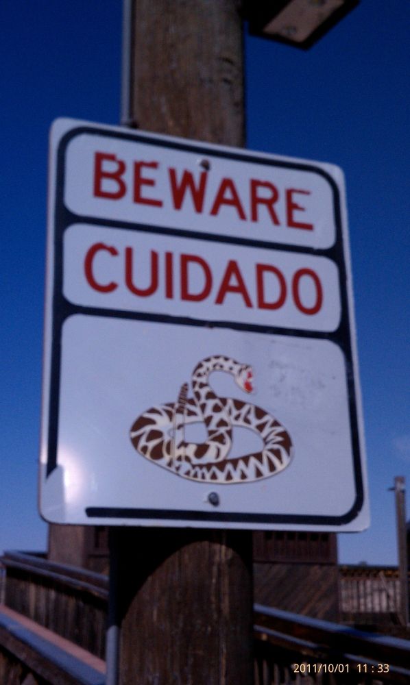 Sign says Beware Cuidado and has a picture of a rattlesnake.