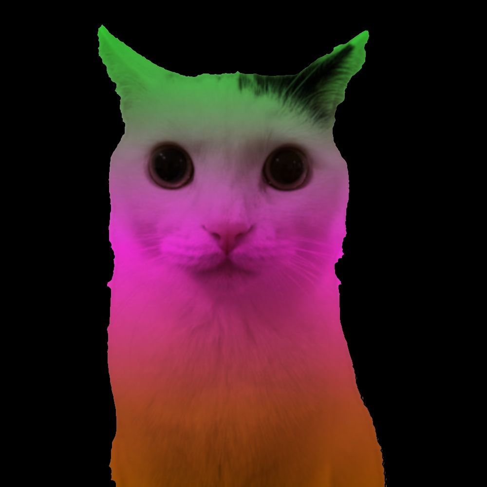 Comment image
