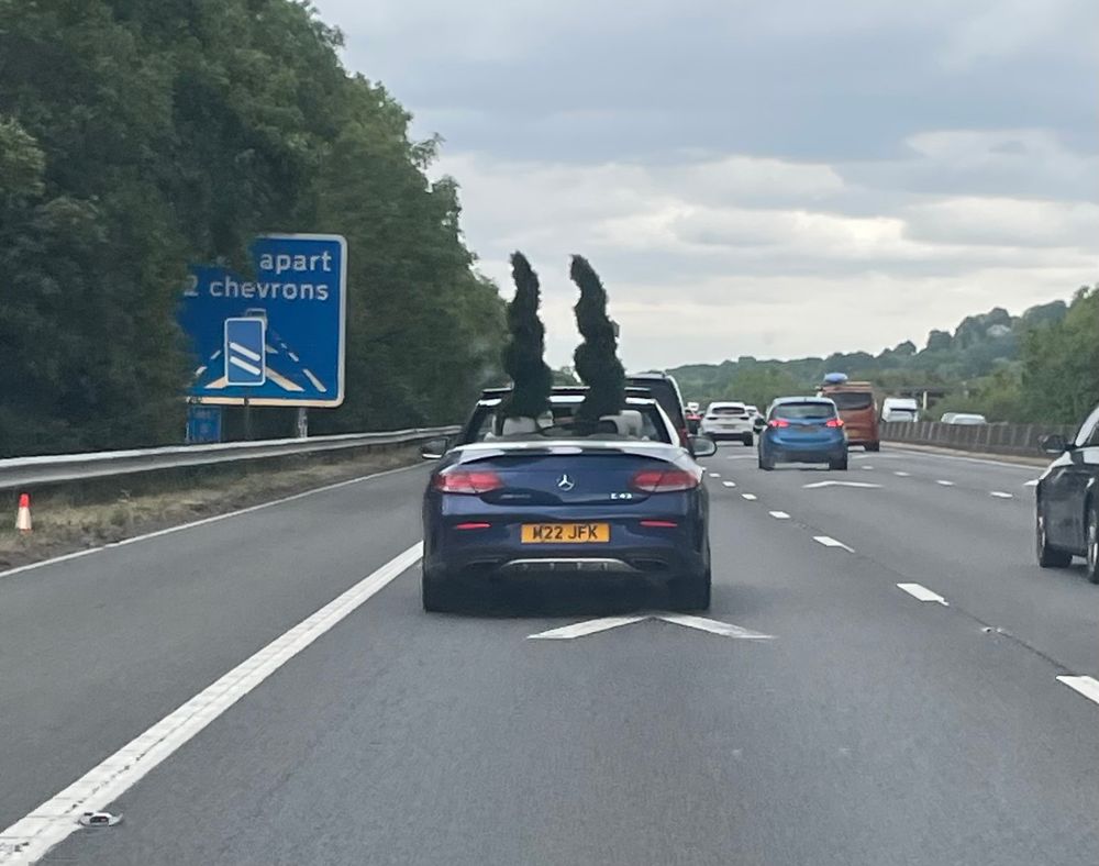 A soft-top Mercedes Benz driving down the motorway with two twisty and pointed bushes in the back that look a bit like Marge Simpson’s hairstyle