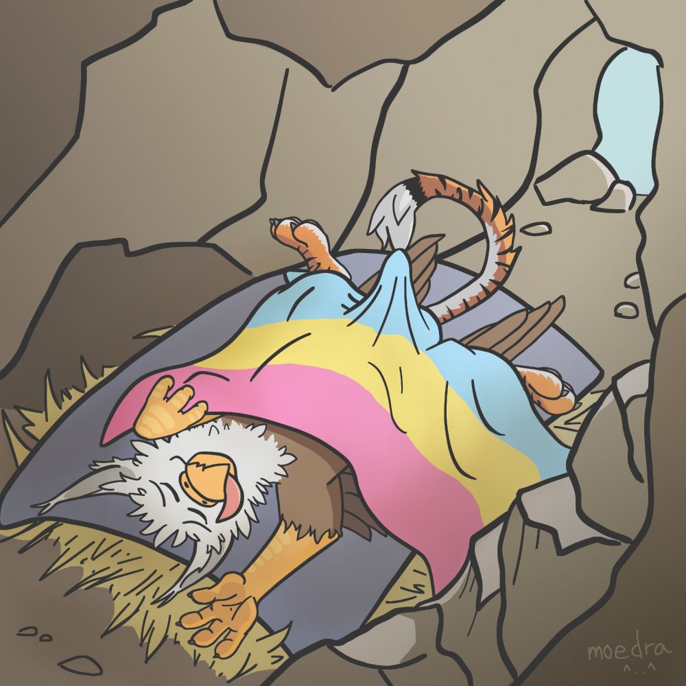 Morning Wood Alternate: Still sleeping but now he has pitched a tent. Look, sometimes this just happens, it doesn't have to be arousal...