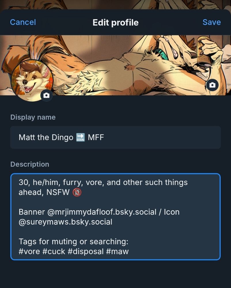 Screenshot, changing the age in my profile to 30