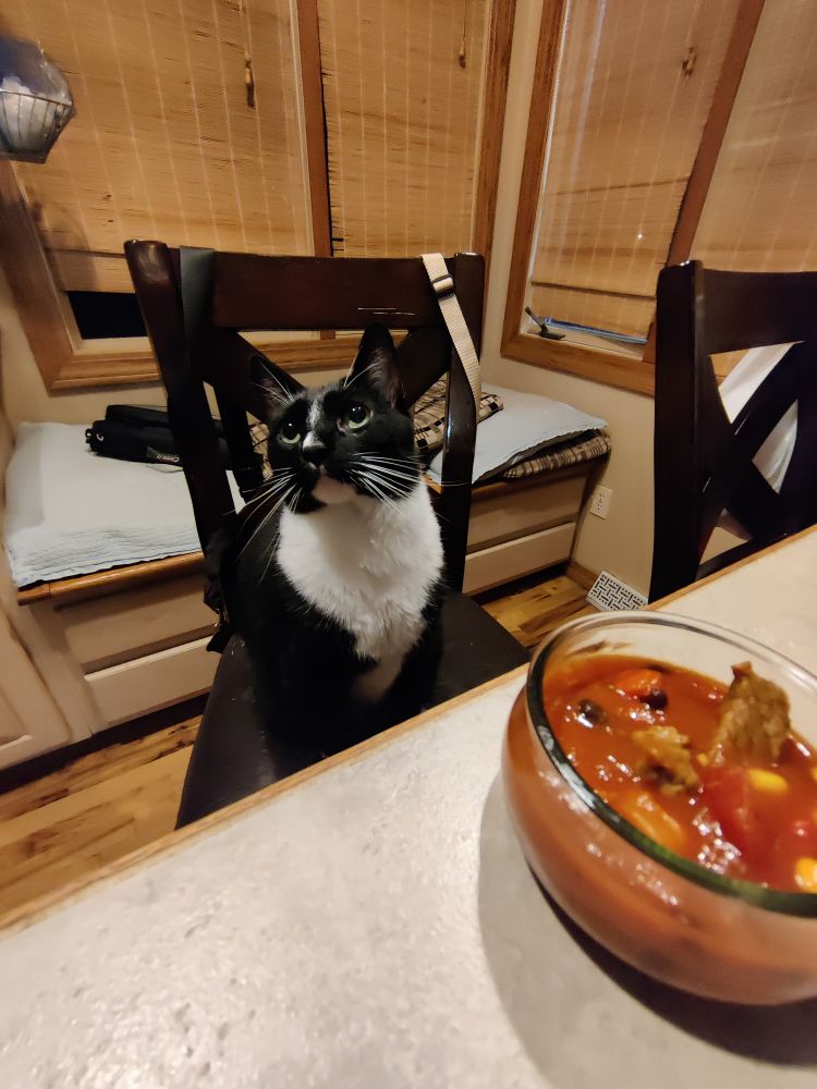 Steve sitting on one of the tall kitchen chairs at the counter. In front of him is a clear glad bowl of chili con carne. Steve looks wistfully into the distance, hopeful that today will be his day.