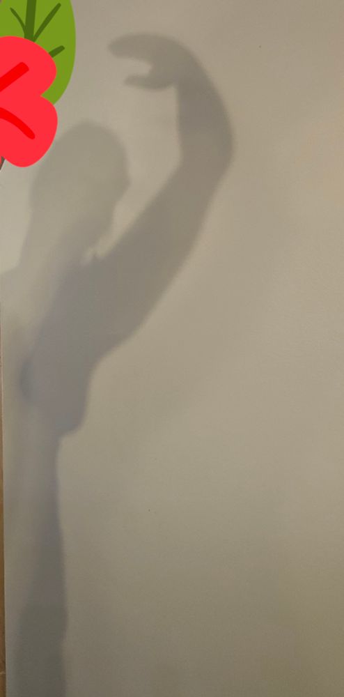 Shadiw of me arched back with my arm in high 5th ballet arm position 