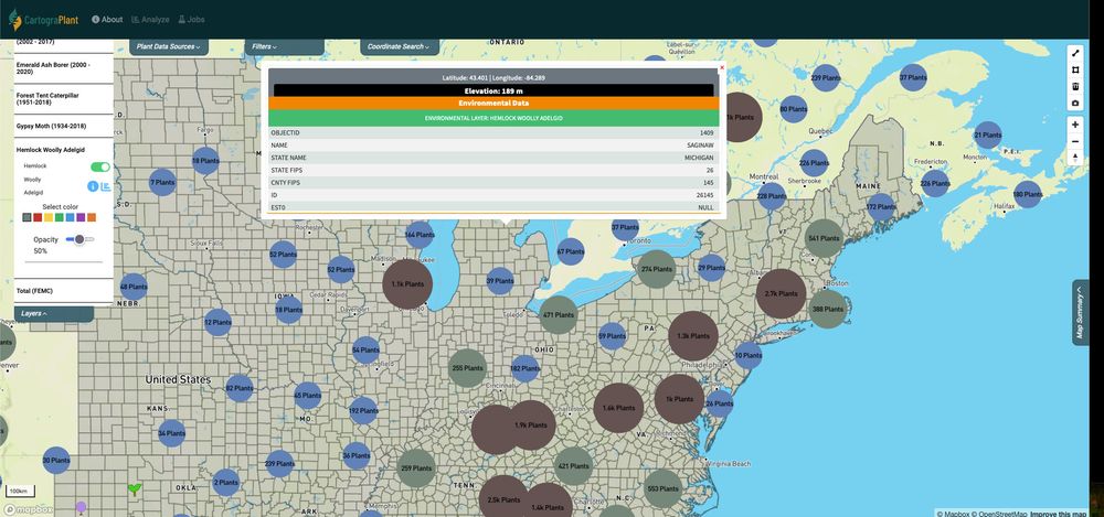 A screenshot of CartograPlant centered on the Northeastern and Midwestern US. The majority of state counties are colored gray to indicate evidence of Hemlock Woolly Adelgid damage. A box is in the top-center of the screen with different pieces of information  (coordinates, elevation, etc) about the county selected. On the left is a dropdown menu highlighting the "Hemlock Woolly Adelgid" environmental layer in use.