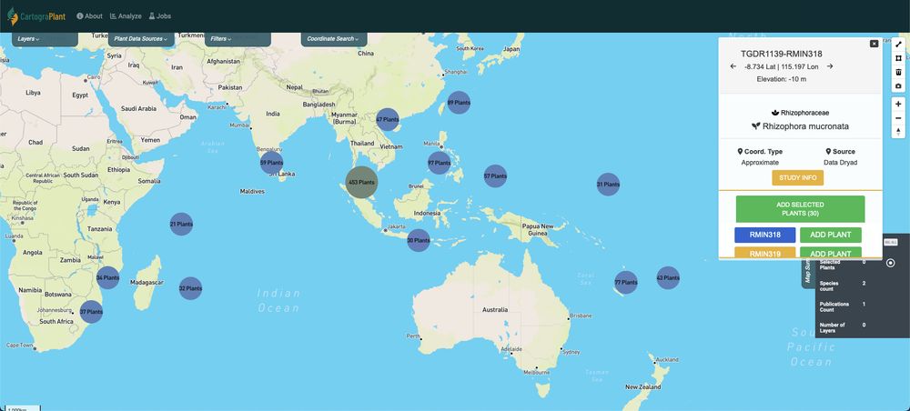 A screenshot of CartograPlant centered on Oceania, with Asia and Africa visible on the top and left respectively. An info box is present on the right side of the screen with information about the plants of the study selected.