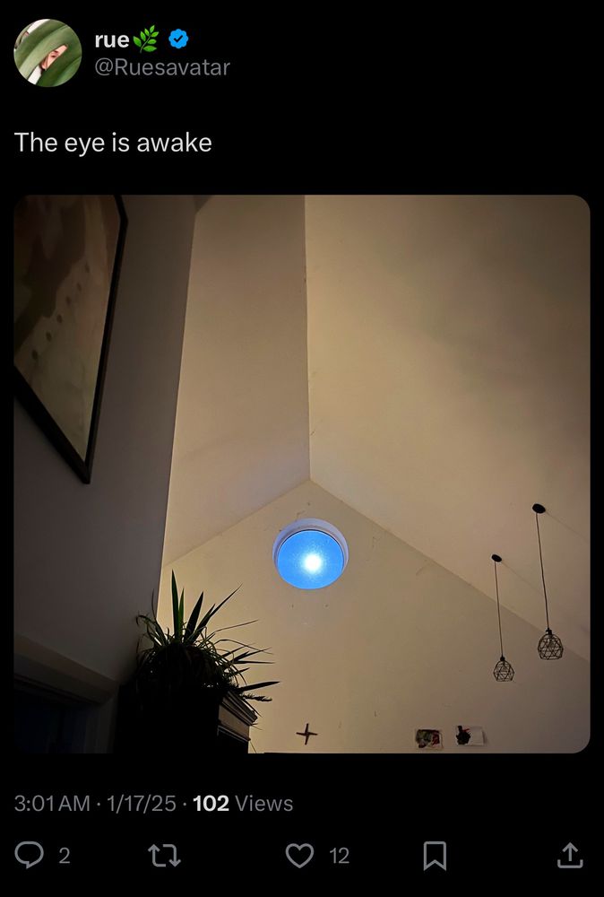 a post by @ruesavatar showing a photo of the sun shining through a circular window, captioned “The eye is awake.” By appearances this is evidently the same eye as in my bsky pfp, hence the facedoxx.