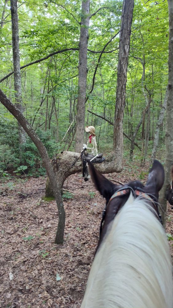 Marker tree with saddle, bridle and plastic cowboy skeleton.