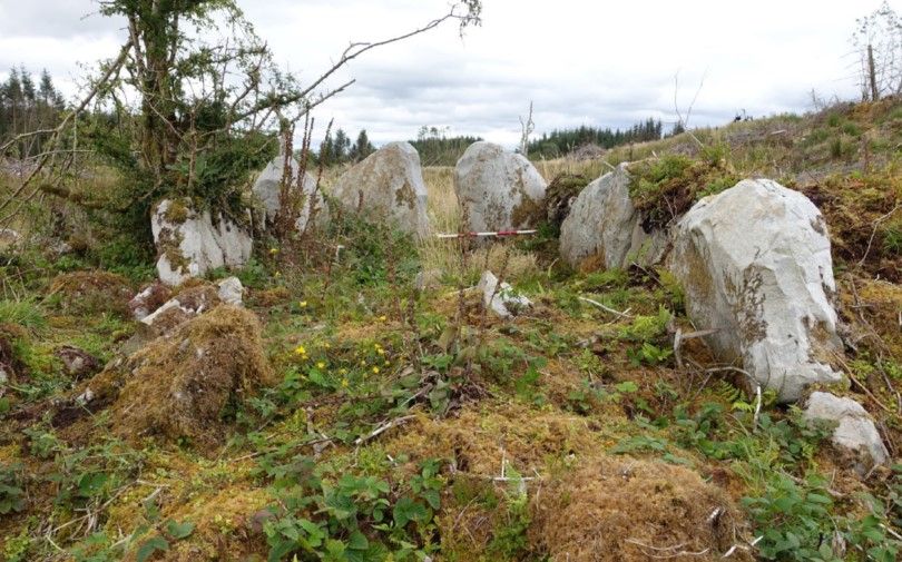 Tullyskeherny Court Tomb, Co. Leitrim (LE005-022----) following the forestry removal 
©Archaeological Survey of Ireland, National Monuments Service, Government of Ireland

