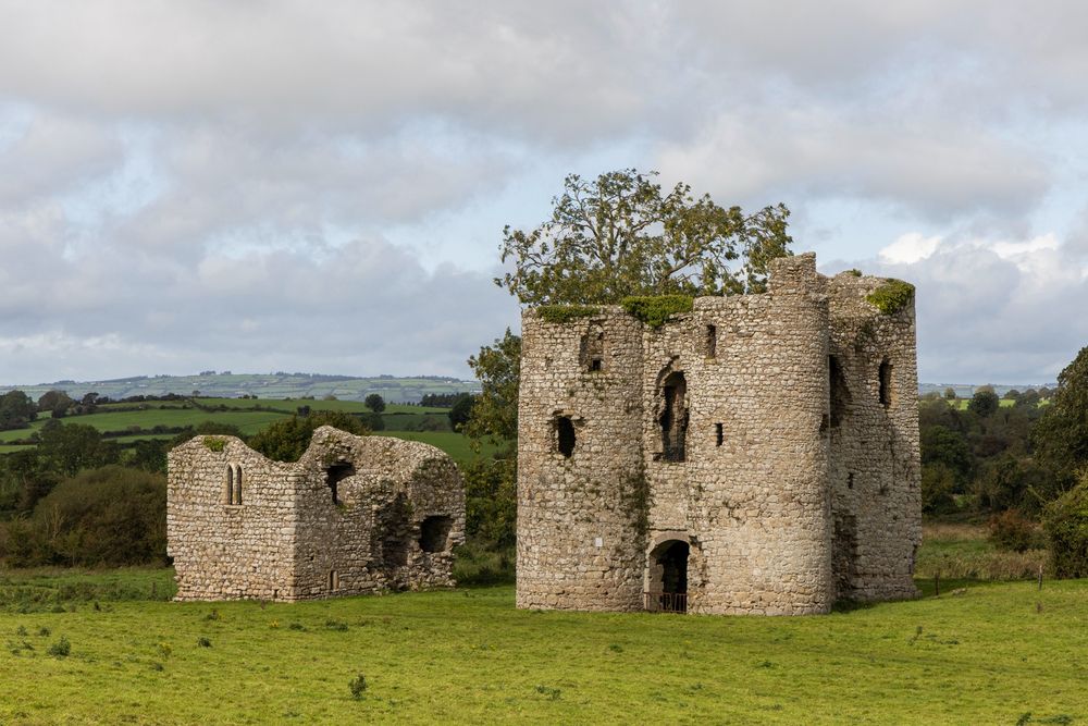 Ballyloughan Castle, Co. Carlow #CastlesOfIreland
*Please be aware this monument is located in a farming field*
Copyright and Photo Credit
©Photographic Archive, National Monuments Service, Government of Ireland
